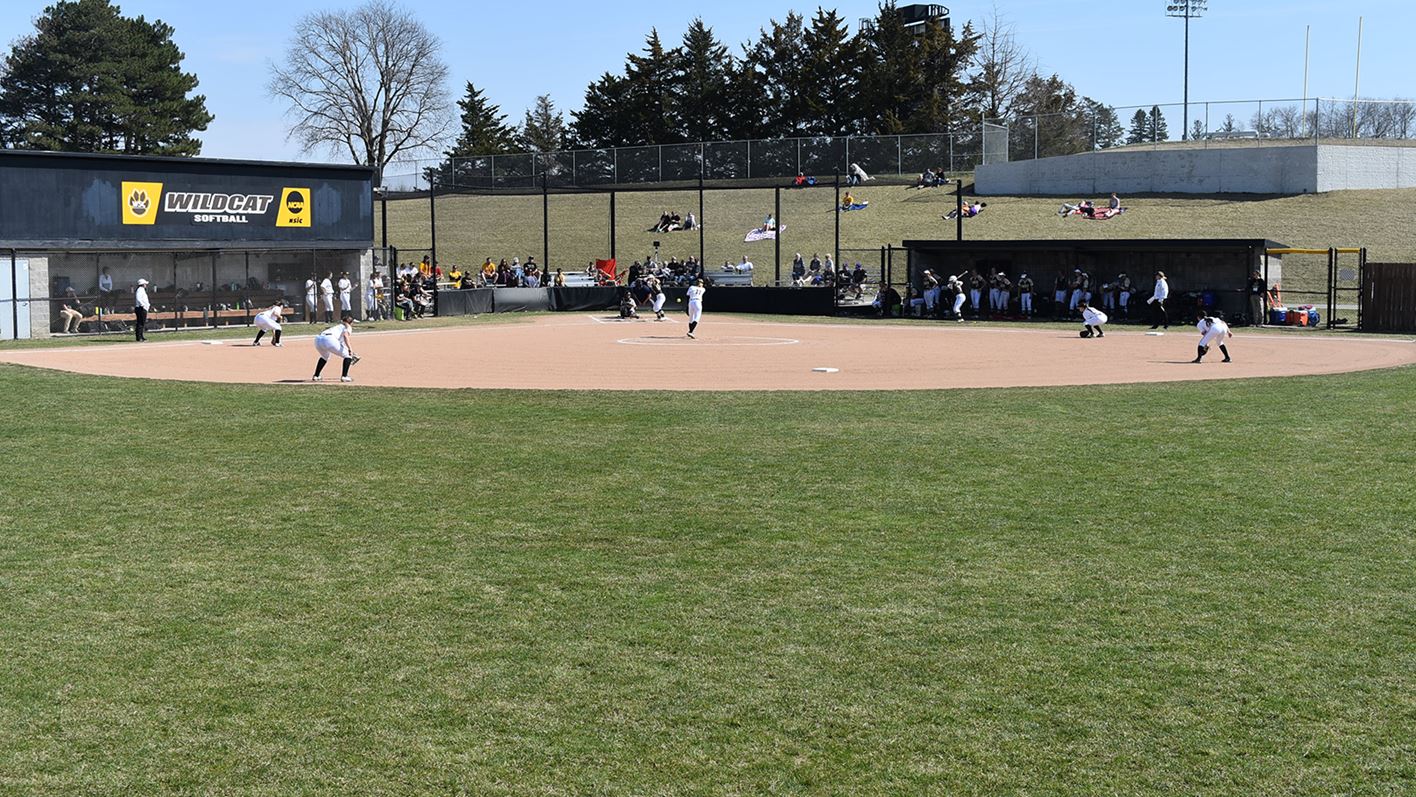 Wayne State College starts the search for a new softball head co