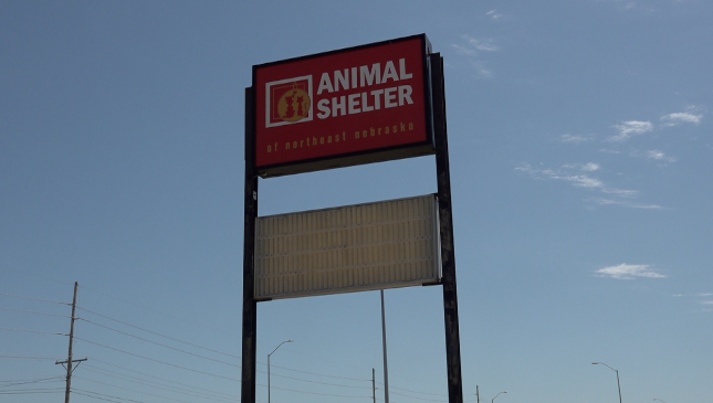 Animal Shelter of Northeast Nebraska to hold microchip clinic this Saturday - Vimarsana News