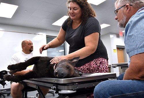 Dr. Kassie Wessendorf, veterinary technology instructor at Northeast Community College, rolls over K9 Diesel, a high-tech simulator the College is incorporating into the program.