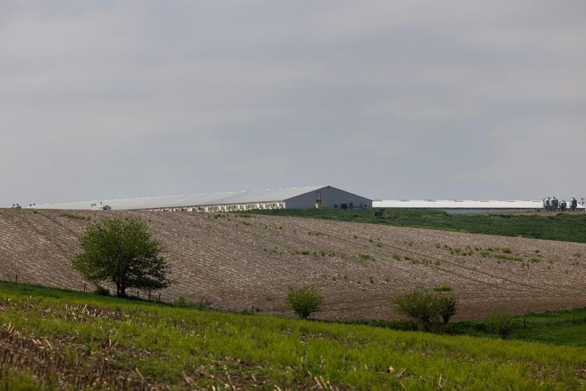 Pillen Family Farms’ Mt. Echo site is visible from Bev and Neal Kemper’s farm, which borders the property to the north.