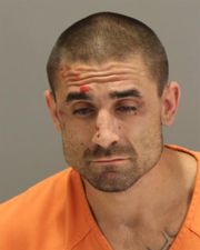 Police send a k-9 in a car wash, to capture a wanted fugitive