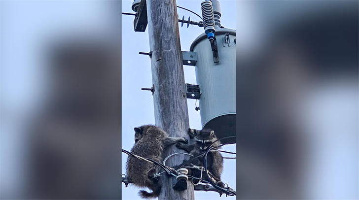 4 masked menaces cause power outage