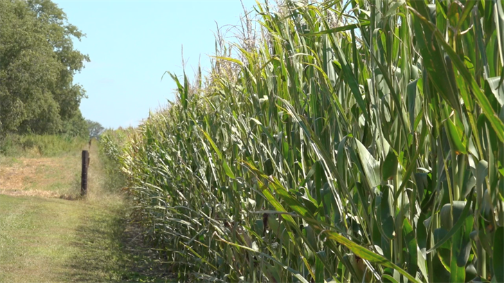 Farmers share ideas to maximizes profits at annual conference