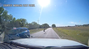 Games and Parks urges Nebraska drivers to use caution to avoid collisions with deer