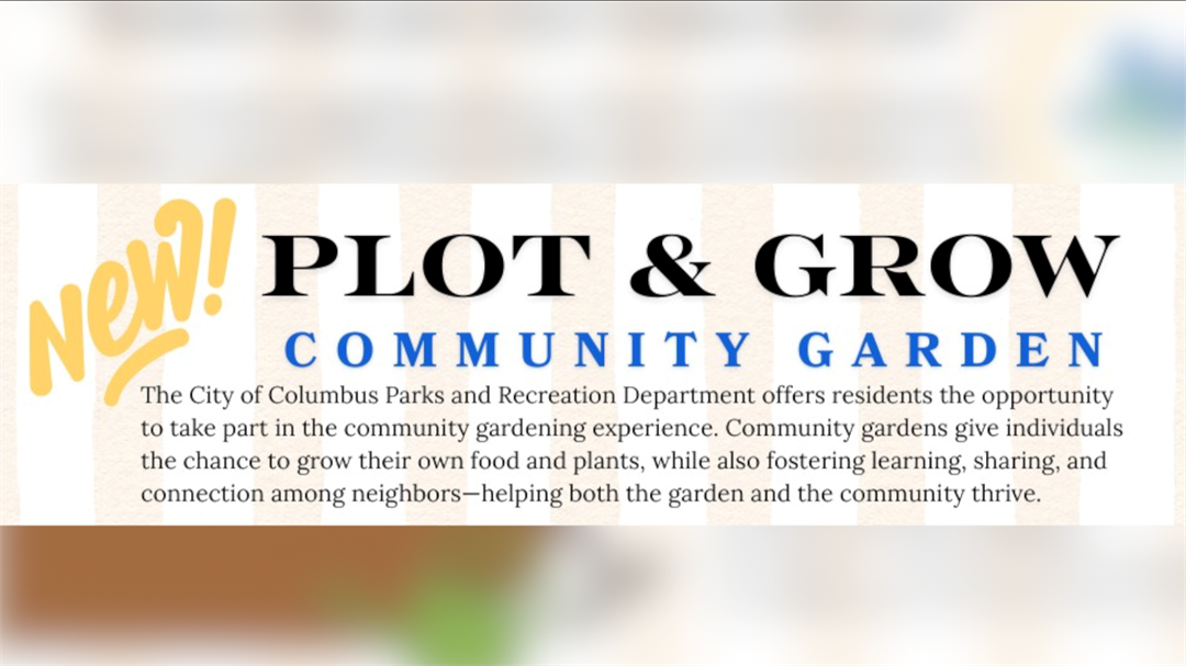 City turns residents hobby into community project